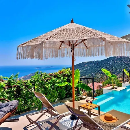 1 Bedroom Seaview With Private Pool ヴィラ