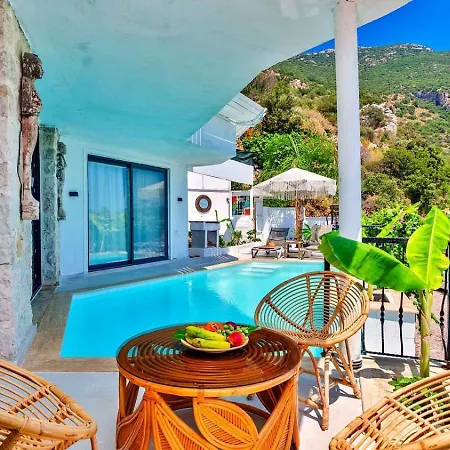 1 Bedroom Seaview With Private Pool Kalkan